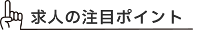 ポイントアイコン