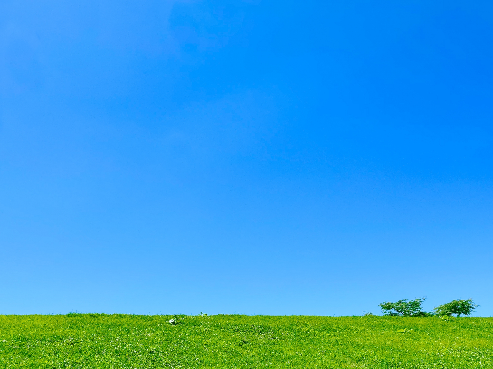 会社の方針が変わったとき、転職すべき？